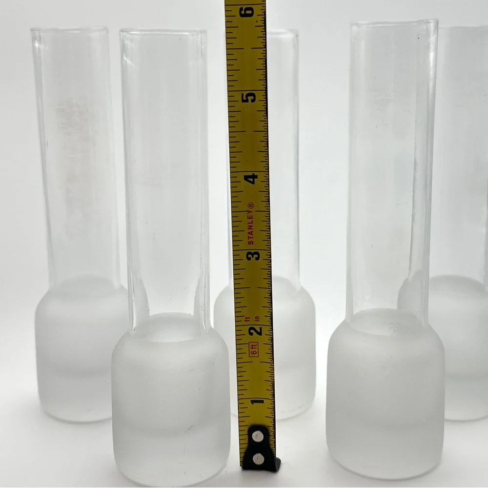Small Clear Glass Tube Plant Propagation Vase Chunky Base Frosted Glass Bud Vase